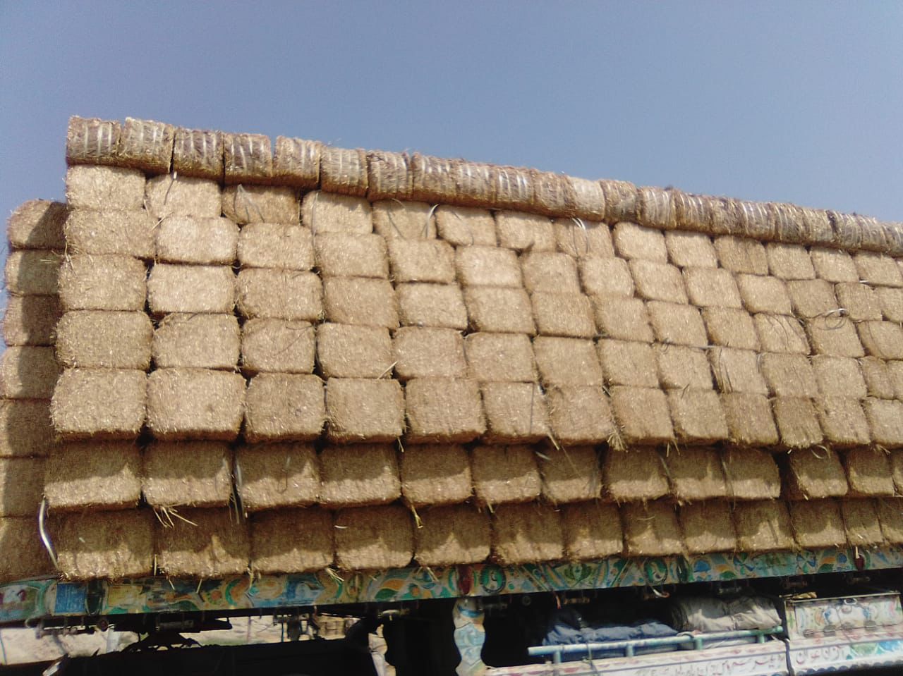 Wheat Straw for Livestock - High-Quality Animal Feed, 10-15 Kg Bales, Protein-Rich & Fiber-Dense, 13 QAR