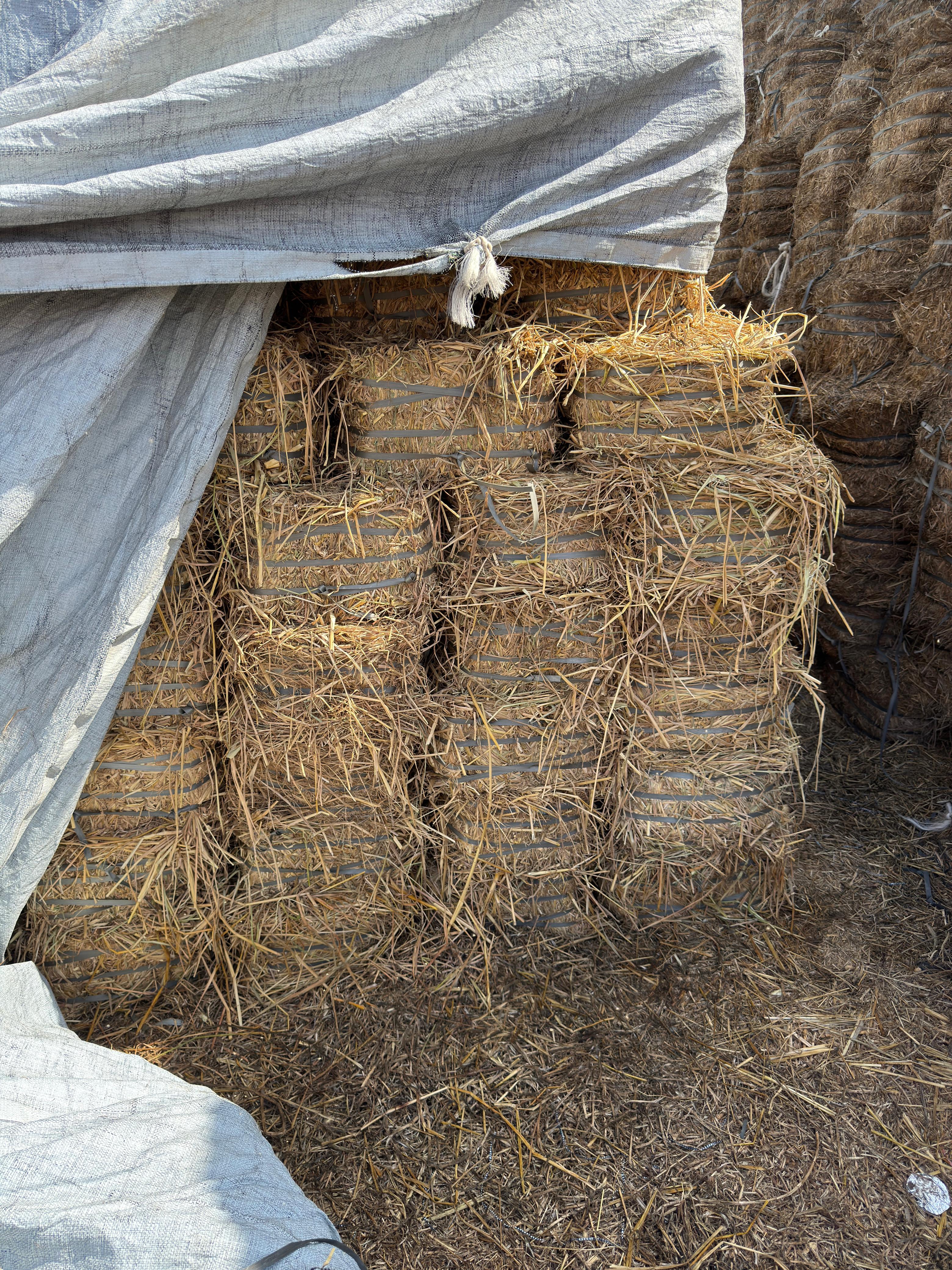 Rice Straw for Livestock - Premium Animal Feed, 10-15 Kg Bales, Low Protein & High Fiber, 7 QAR